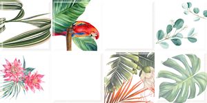 กระเบื้องผนัง 30X60 CM. IK36003 แพรอท ไวท์ เดคอร์ ผิวเงา ลายกราฟฟิค